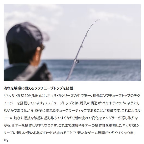 21 ネッサ XR